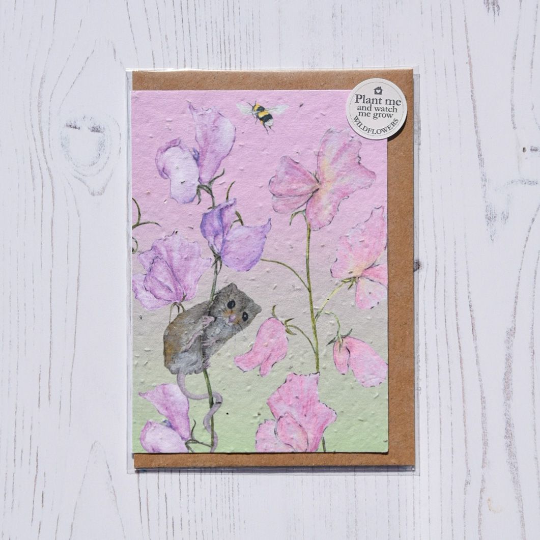 Wildfllower Seed Cards